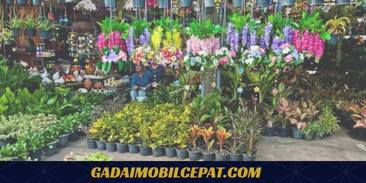 cara memulai bisnis tanaman hias